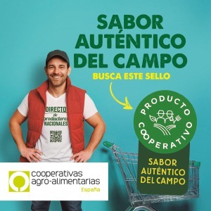 banner Cooperativo Marzo 2026