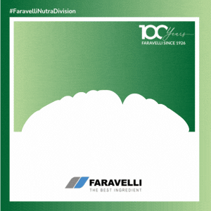 banner Faravelli Junio 2026 banner Faravelli Junio 2026