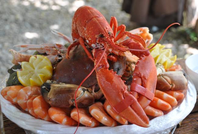 Mariscos: conoce su valor nutricional y algunos de sus mitosConsumidora