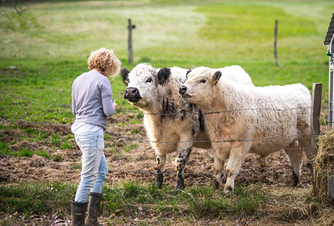 Atencion A Animales En Granjas Y Clinicas Dentro Del Estado De Alarma Revista Alimentaria