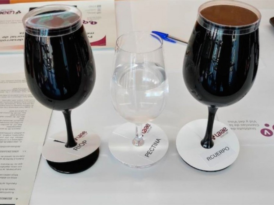 Sensory science tools for improving wine quality control